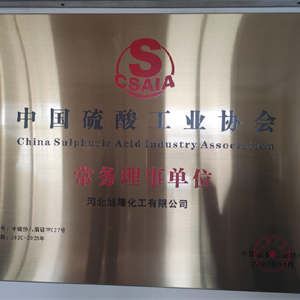 中国硫酸工业协会常务理事单位